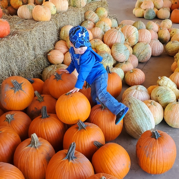 Meet your Posher, Missy - Picture 7 of 8